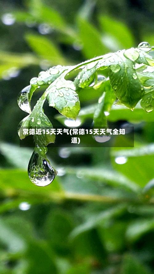 常德近15天天气(常德15天天气全知道)-第2张图片
