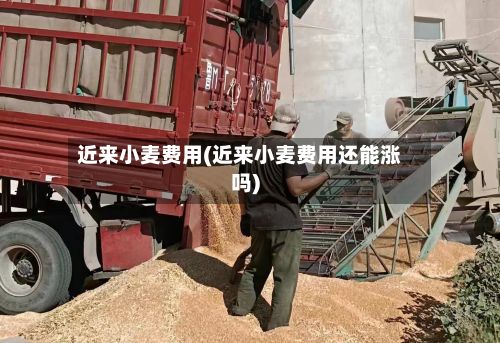 近来小麦费用(近来小麦费用还能涨吗)-第2张图片