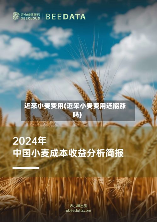 近来小麦费用(近来小麦费用还能涨吗)-第3张图片