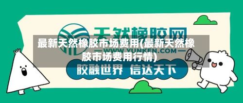 最新天然橡胶市场费用(最新天然橡胶市场费用行情)-第3张图片