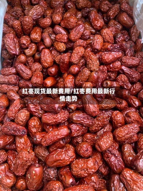 红枣现货最新费用/红枣费用最新行情走势