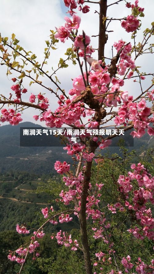 南涧天气15天/南涧天气预报明天天气-第2张图片