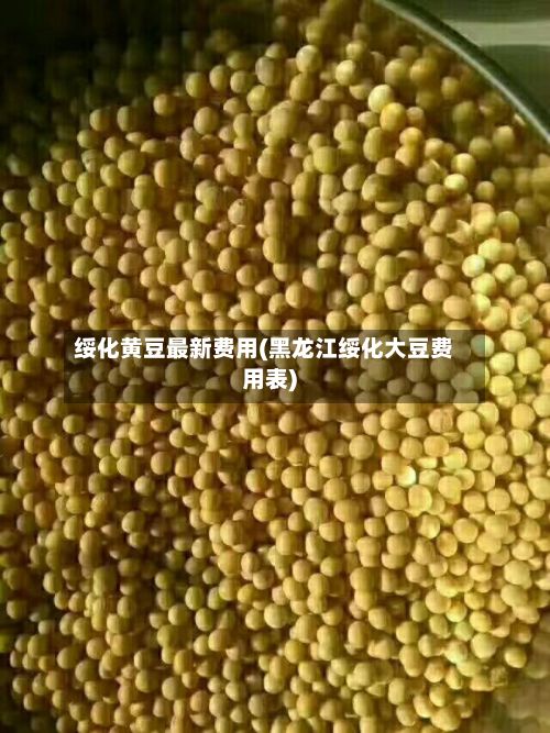 绥化黄豆最新费用(黑龙江绥化大豆费用表)-第2张图片