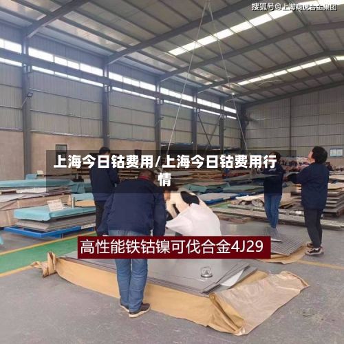 上海今日钴费用/上海今日钴费用行情