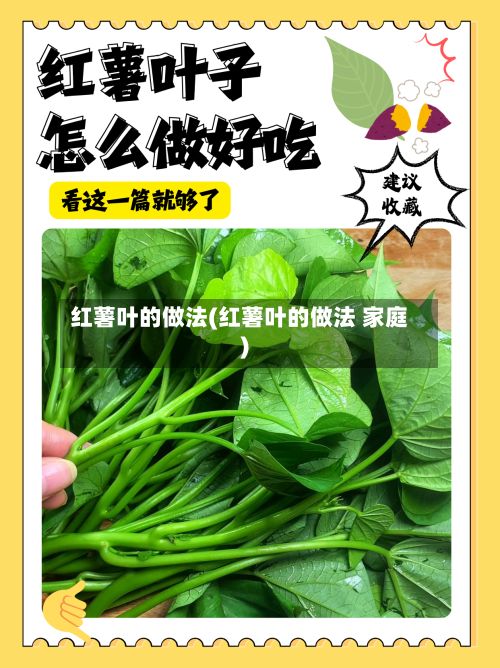 红薯叶的做法(红薯叶的做法 家庭)-第3张图片