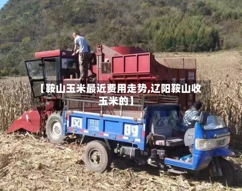 【鞍山玉米最近费用走势,辽阳鞍山收玉米的】-第3张图片