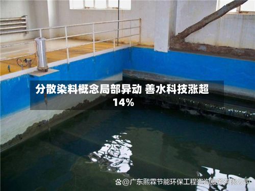 分散染料概念局部异动 善水科技涨超14%-第2张图片