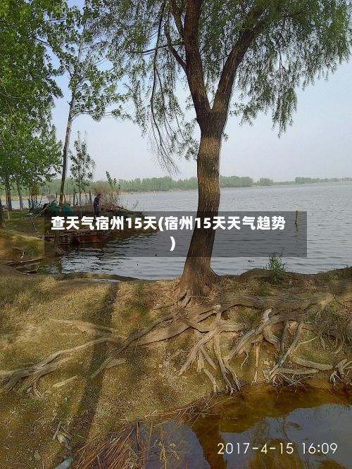 查天气宿州15天(宿州15天天气趋势)-第2张图片