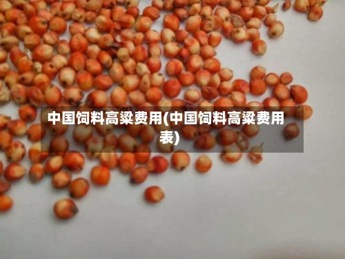 中国饲料高粱费用(中国饲料高粱费用表)-第3张图片