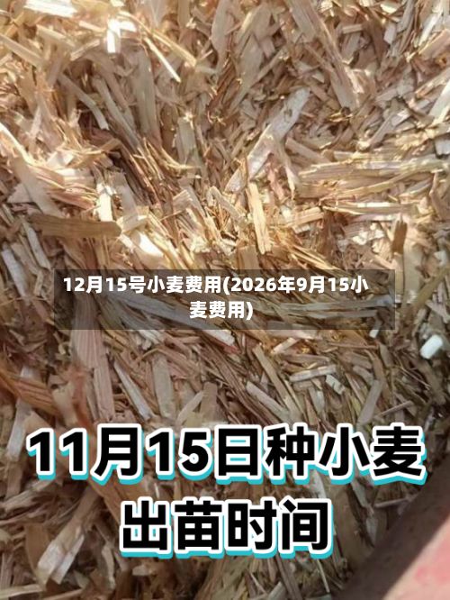 12月15号小麦费用(2026年9月15小麦费用)