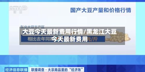 大豆今天最新费用行情/黑龙江大豆今天最新费用