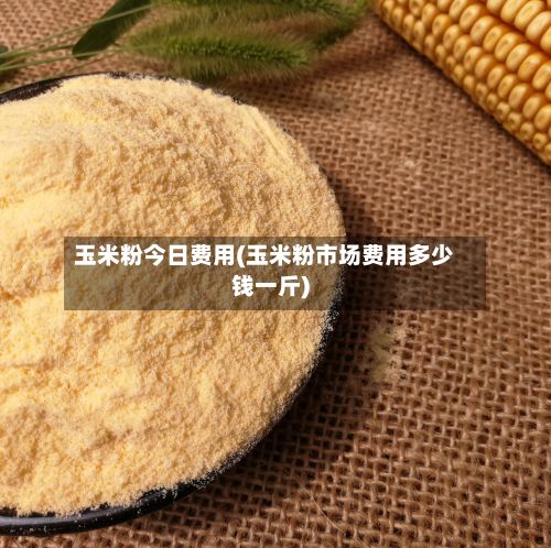 玉米粉今日费用(玉米粉市场费用多少钱一斤)