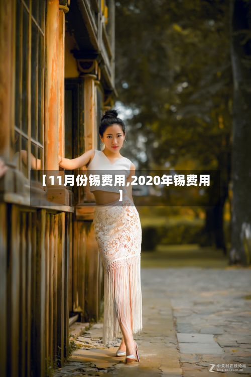 【11月份锡费用,2020年锡费用】-第3张图片