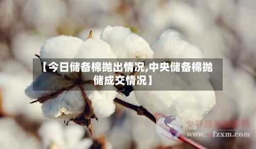 【今日储备棉抛出情况,中央储备棉抛储成交情况】-第2张图片