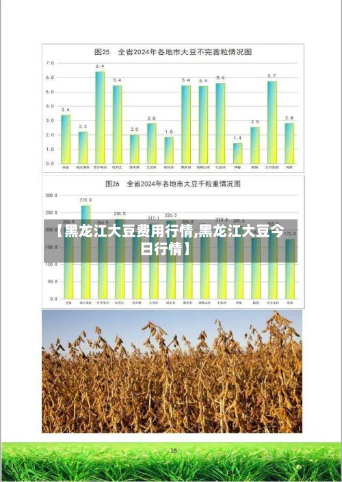 【黑龙江大豆费用行情,黑龙江大豆今日行情】