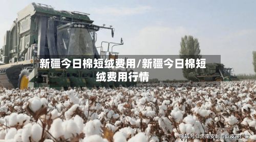 新疆今日棉短绒费用/新疆今日棉短绒费用行情-第3张图片