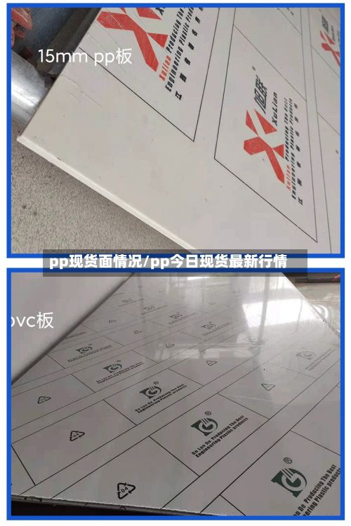 pp现货面情况/pp今日现货最新行情
