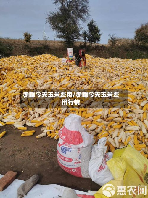 赤峰今天玉米费用/赤峰今天玉米费用行情-第3张图片