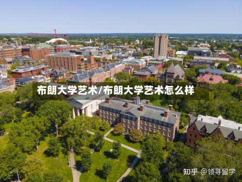 布朗大学艺术/布朗大学艺术怎么样