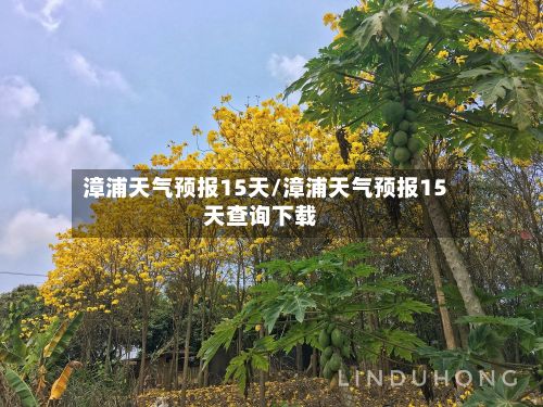 漳浦天气预报15天/漳浦天气预报15天查询下载