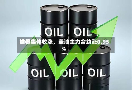 世界油价集体收涨，美油主力合约涨0.95%