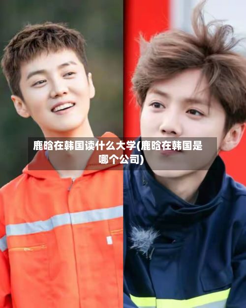 鹿晗在韩国读什么大学(鹿晗在韩国是哪个公司)-第2张图片