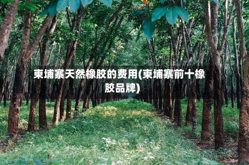 柬埔寨天然橡胶的费用(柬埔寨前十橡胶品牌)