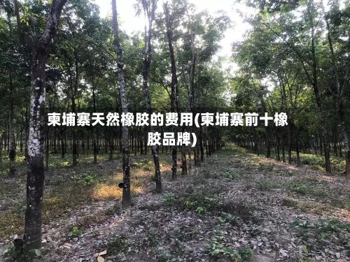 柬埔寨天然橡胶的费用(柬埔寨前十橡胶品牌)-第2张图片