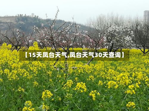 【15天凤台天气,凤台天气30天查询】