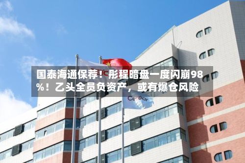 国泰海通保荐！彤程暗盘一度闪崩98%！乙头全员负资产	，或有爆仓风险-第2张图片