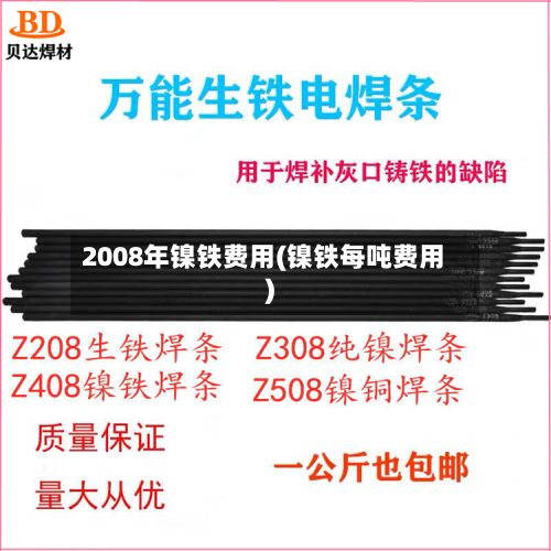 2008年镍铁费用(镍铁每吨费用)-第2张图片
