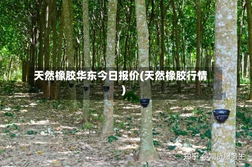 天然橡胶华东今日报价(天然橡胶行情)