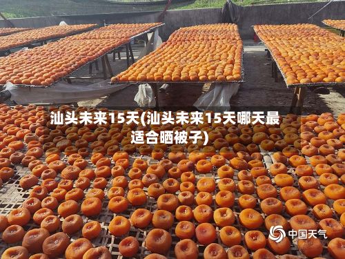 汕头未来15天(汕头未来15天哪天最适合晒被子)