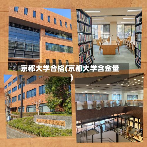 京都大学合格(京都大学含金量)