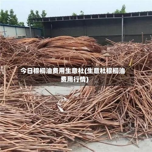 今日棕榈油费用生意社(生意社棕榈油费用行情)-第2张图片