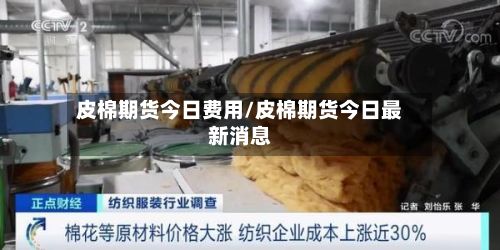 皮棉期货今日费用/皮棉期货今日最新消息