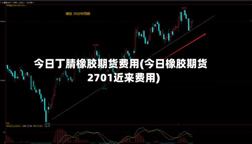 今日丁腈橡胶期货费用(今日橡胶期货2701近来费用)