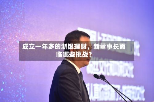 成立一年多的浙银理财，新董事长面临哪些挑战？-第2张图片