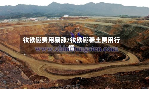 钕铁硼费用暴涨/钕铁硼稀土费用行情-第2张图片