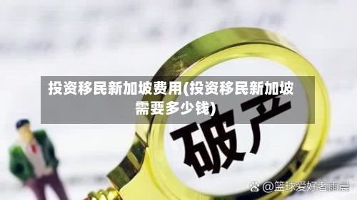 投资移民新加坡费用(投资移民新加坡需要多少钱)