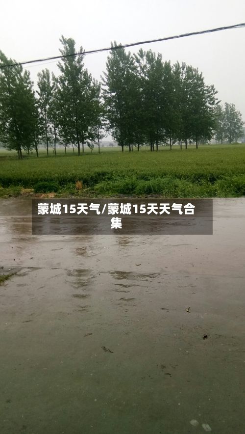 蒙城15天气/蒙城15天天气合集-第2张图片