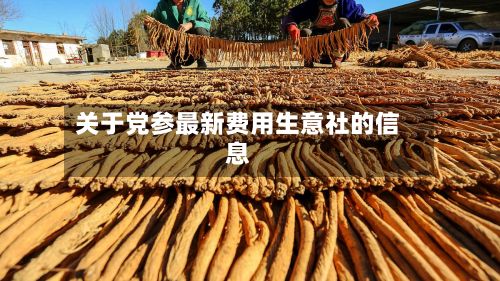 关于党参最新费用生意社的信息-第2张图片