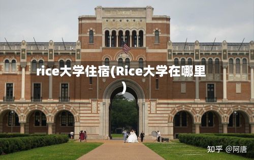 rice大学住宿(Rice大学在哪里)