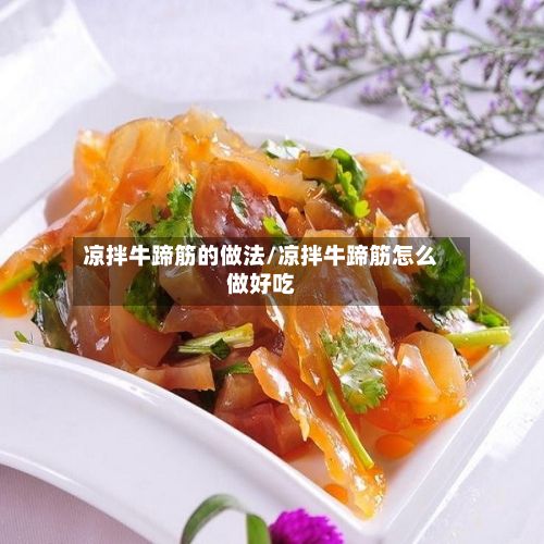 凉拌牛蹄筋的做法/凉拌牛蹄筋怎么做好吃-第3张图片