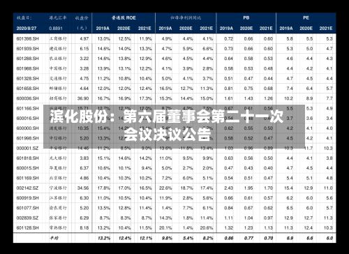 滨化股份：第六届董事会第二十一次会议决议公告