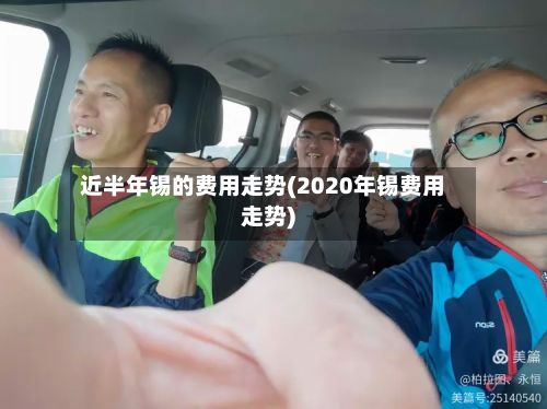 近半年锡的费用走势(2020年锡费用走势)-第2张图片