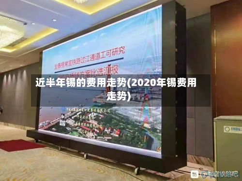 近半年锡的费用走势(2020年锡费用走势)