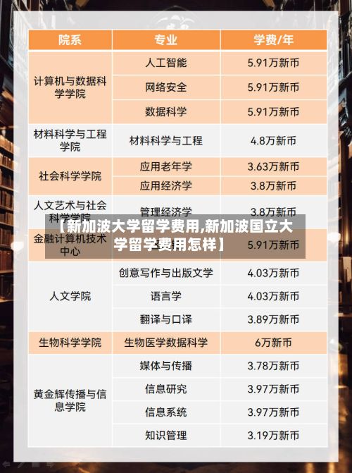 【新加波大学留学费用,新加波国立大学留学费用怎样】-第2张图片