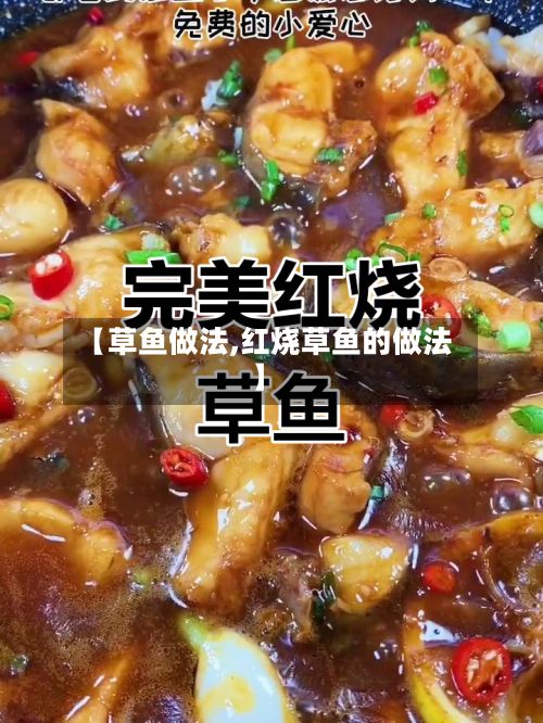【草鱼做法,红烧草鱼的做法】-第3张图片