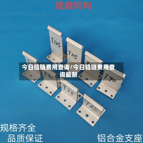 今日铝链费用查询/今日铝链费用查询最新-第3张图片